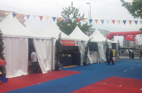 Construction Consultant